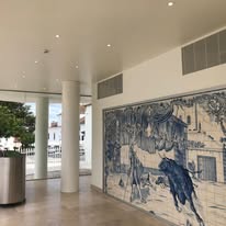 primarySchool Salvaterra 3